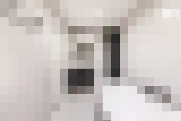 Pol 69 Ulft thumbnail 24