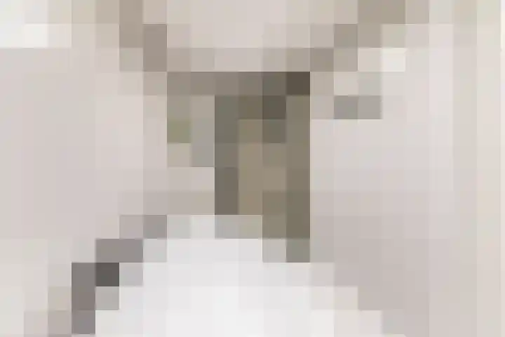 Pol 69 Ulft thumbnail 25