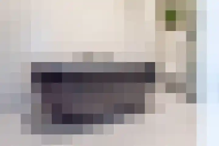 Pol 69 Ulft thumbnail 26
