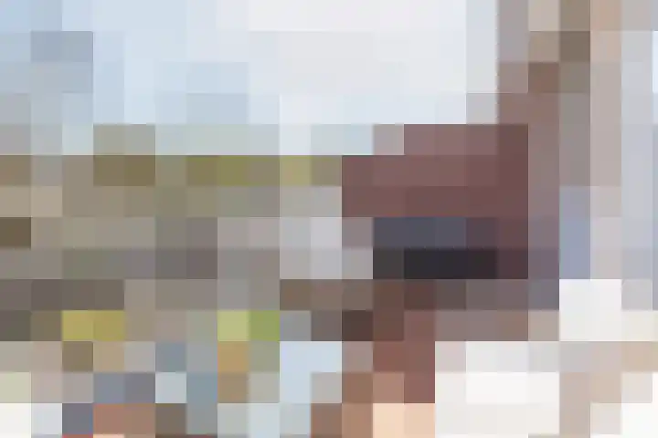Pol 69 Ulft thumbnail 31