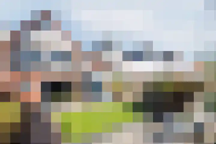 Pol 69 Ulft thumbnail 4