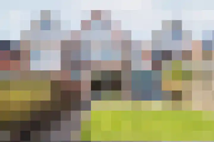 Pol 69 Ulft thumbnail 40