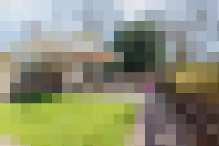 Pol 69 Ulft thumbnail 42