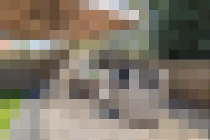 Pol 69 Ulft thumbnail 43