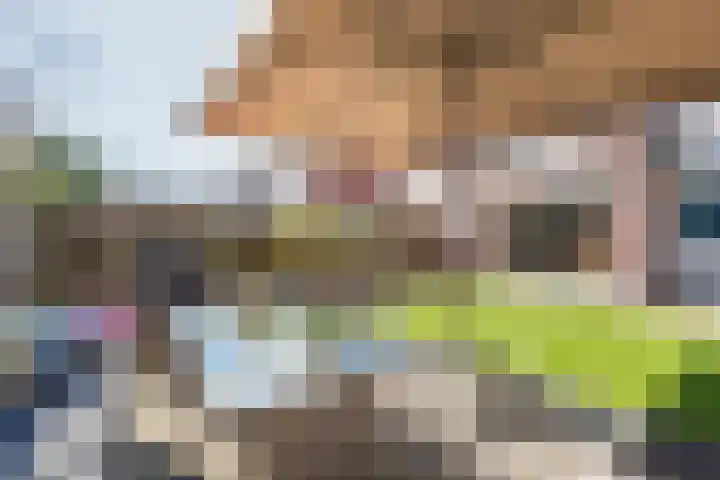 Pol 69 Ulft thumbnail 44