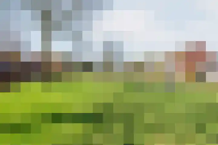 Pol 69 Ulft thumbnail 48