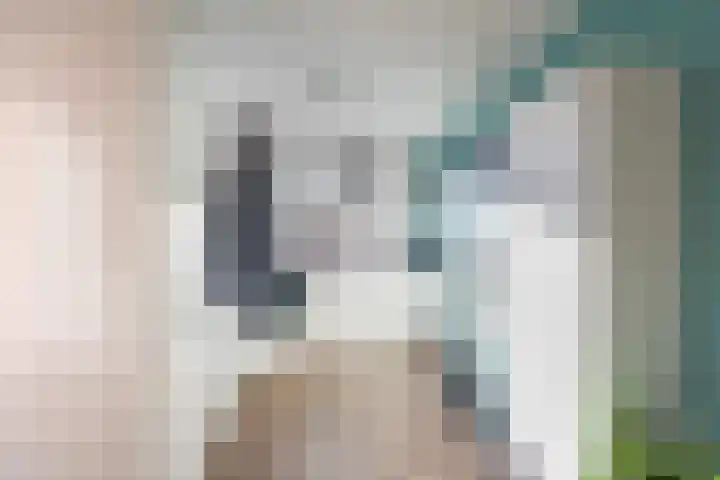 Pol 98 Ulft thumbnail 15
