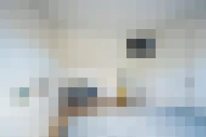 Pol 98 Ulft thumbnail 32