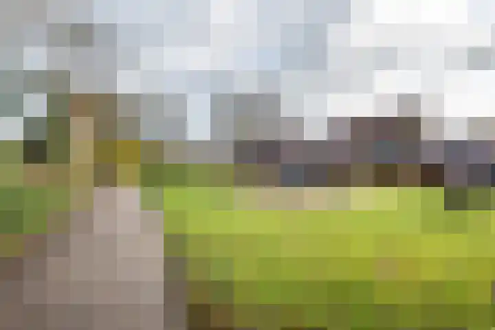 Pol 98 Ulft thumbnail 38