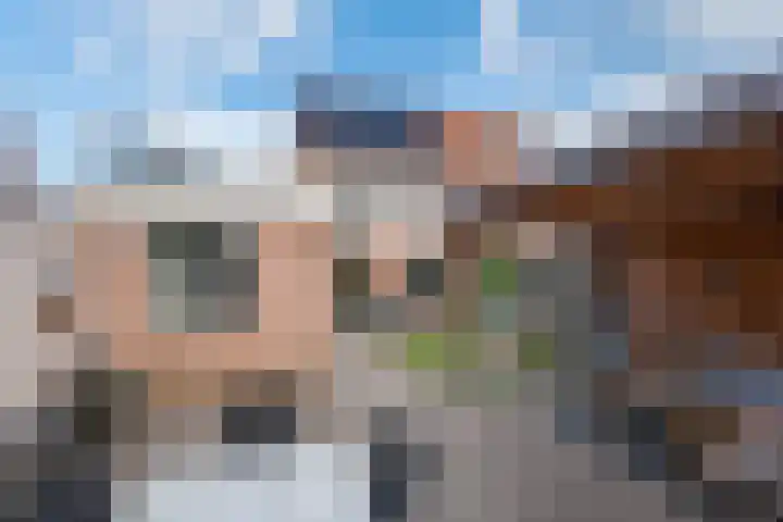 Pol 98 Ulft thumbnail 4