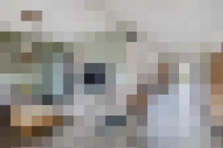 Polakkers 7 Buinen thumbnail 11