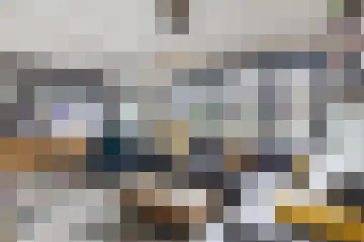 Polakkers 7 Buinen thumbnail 12
