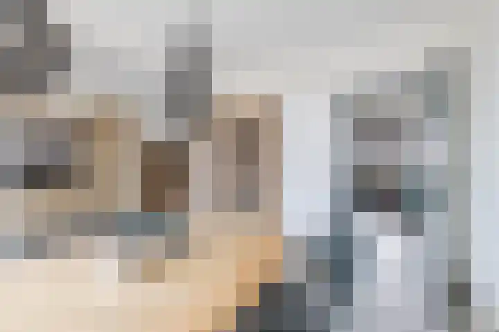 Polakkers 7 Buinen thumbnail 15