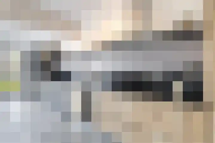 Polakkers 7 Buinen thumbnail 16