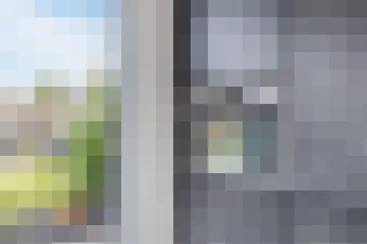 Polakkers 7 Buinen thumbnail 20