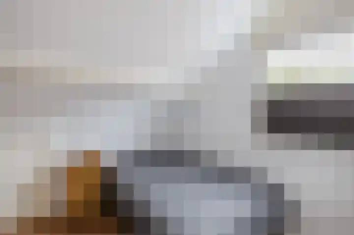 Polakkers 7 Buinen thumbnail 26