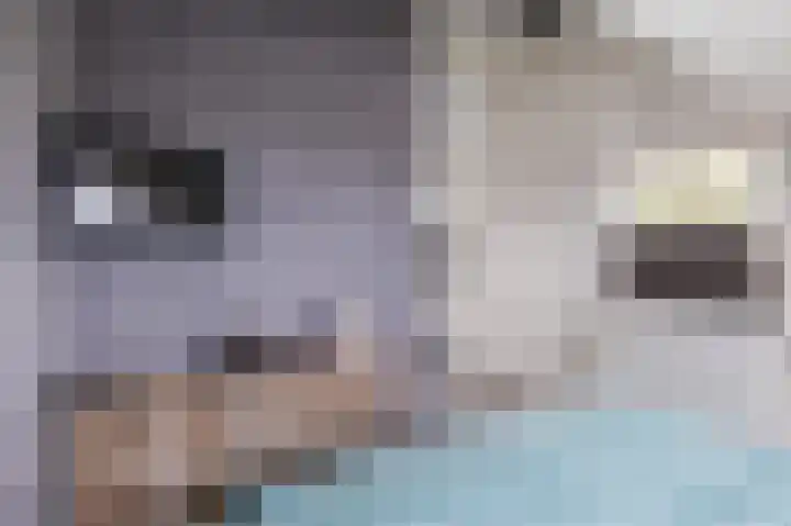 Polakkers 7 Buinen thumbnail 30