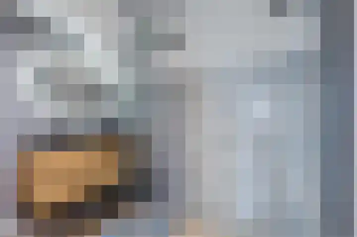 Polakkers 7 Buinen thumbnail 32