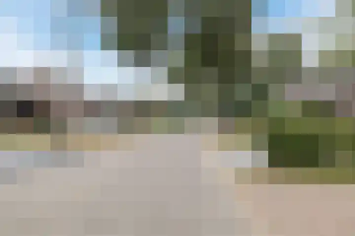 Polakkers 7 Buinen thumbnail 4