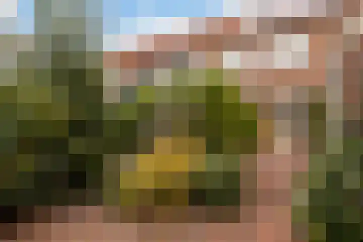Polderbaan 17 Woerden thumbnail 16
