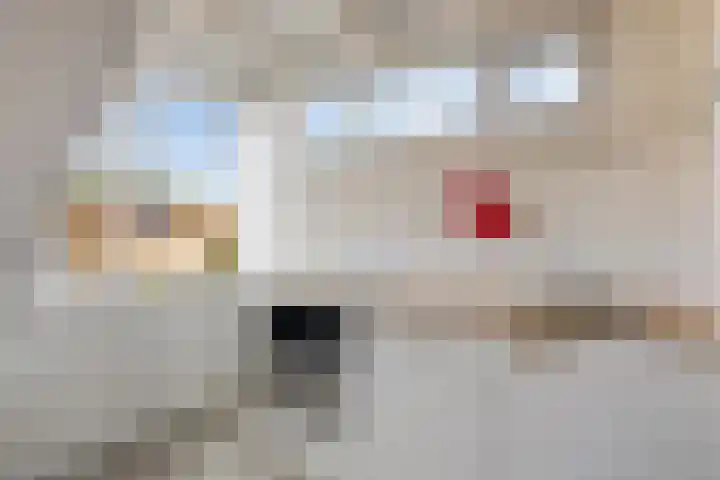 Polderbaan 17 Woerden thumbnail 35