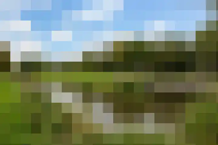 Polderbaan 17 Woerden thumbnail 40