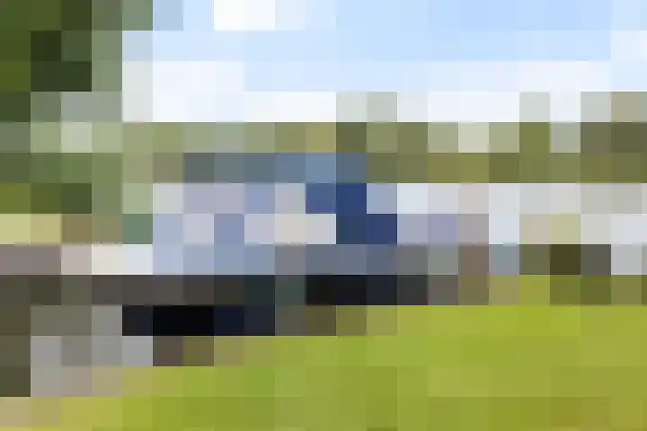 Polderdijk 18 D Maasdam thumbnail 26