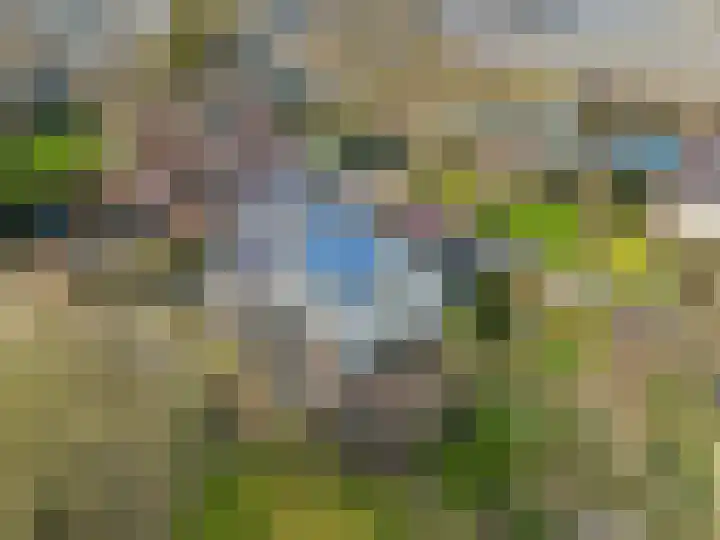 Polderdijk 19 Rumpt thumbnail 34