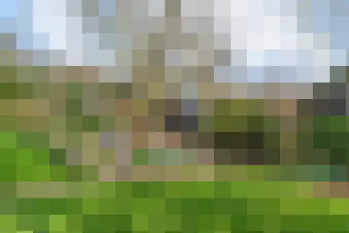 Polderdijk 19 Rumpt thumbnail 37