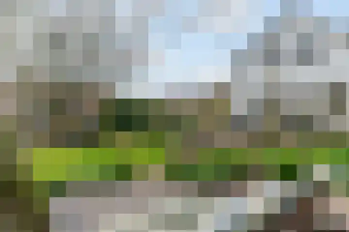 Polderdijk 19 Rumpt thumbnail 38