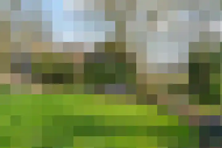 Polderdijk 19 Rumpt thumbnail 47