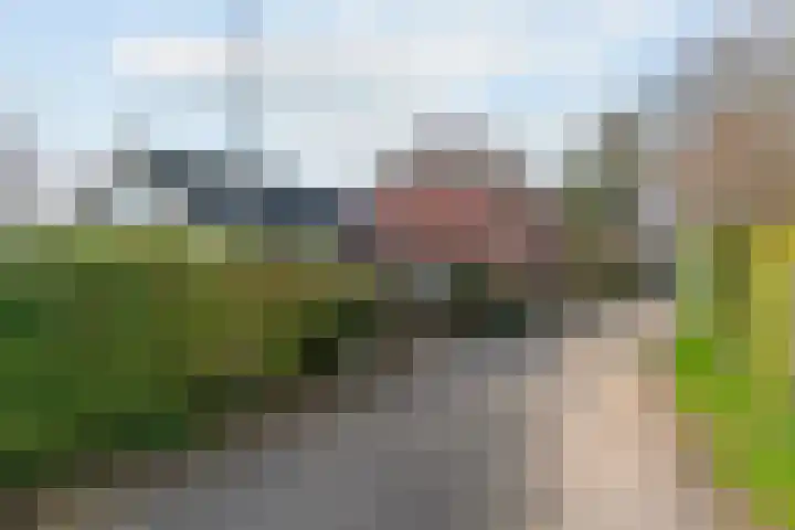 Polderdijk 19 Rumpt thumbnail 50