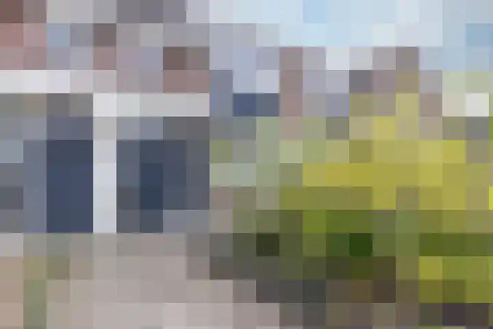 Poldermolen 28 in Hoorn
