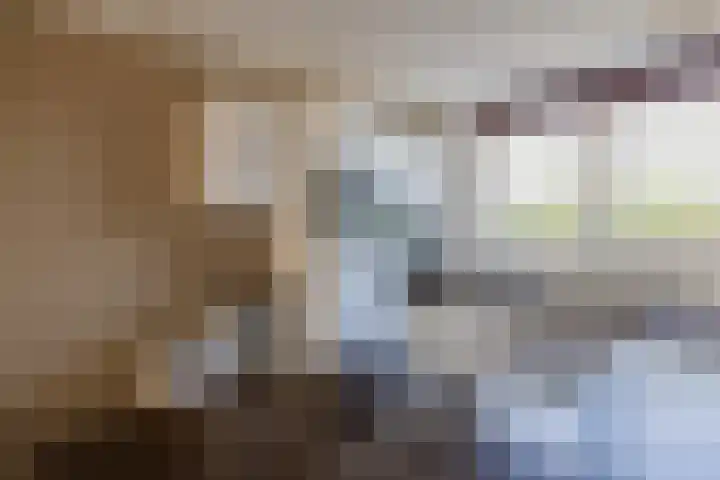 Polderpeil 17 Zoeterwoude thumbnail 11