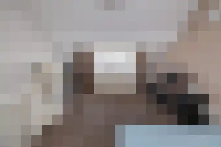 Polderpeil 17 Zoeterwoude thumbnail 26