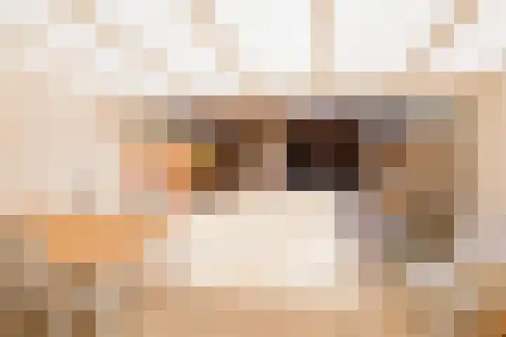Polderpeil 17 Zoeterwoude thumbnail 30