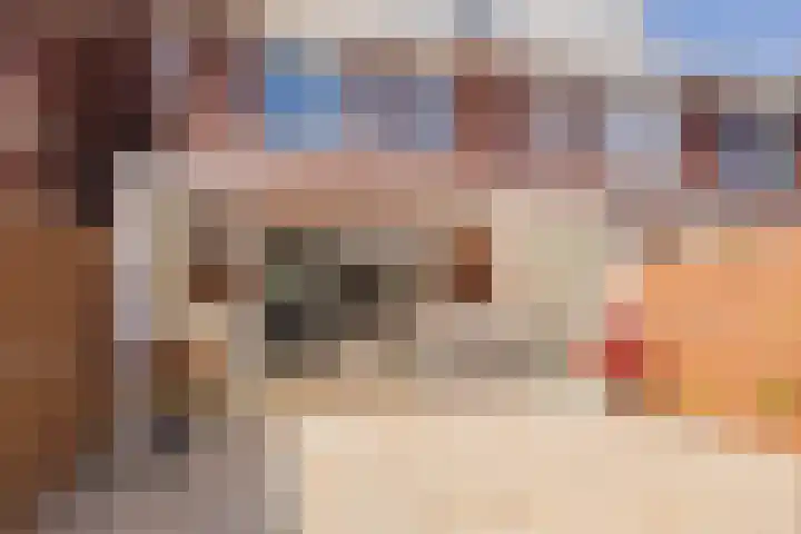 Polderpeil 17 Zoeterwoude thumbnail 31