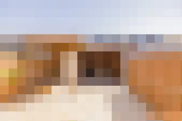 Polderpeil 17 Zoeterwoude thumbnail 33