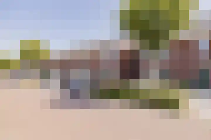 Polderpeil 17 Zoeterwoude thumbnail 36