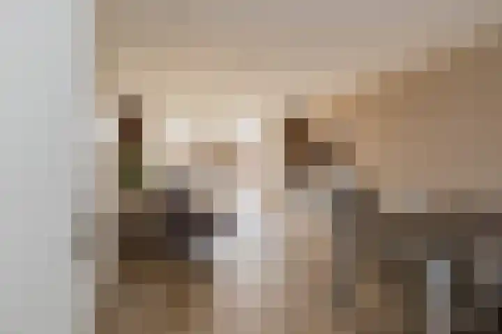 Polderpeil 17 Zoeterwoude thumbnail 4
