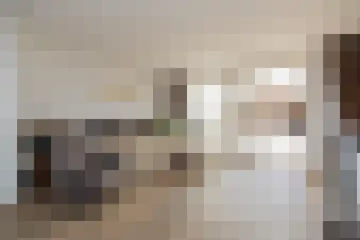 Polderpeil 17 Zoeterwoude thumbnail 6