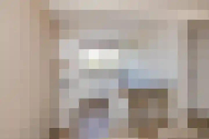Polderpeil 17 Zoeterwoude thumbnail 7