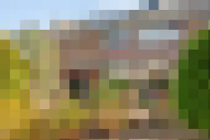 Polderplein 3 Benthuizen thumbnail 34