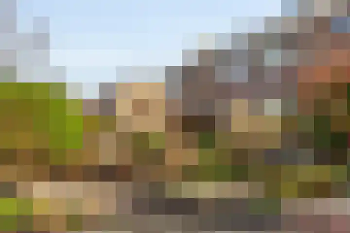 Polderplein 3 Benthuizen thumbnail 35