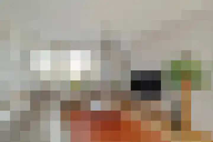 Polderplein 3 Benthuizen thumbnail 7