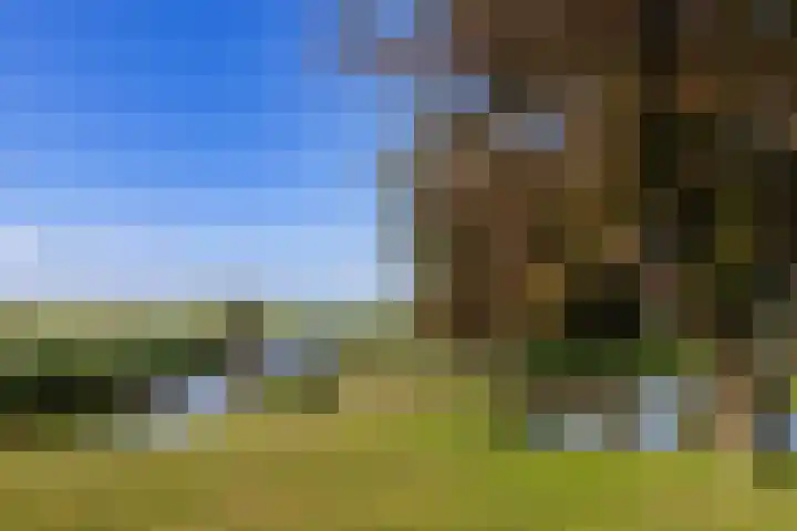 Polderweg 6 a Pijnacker thumbnail 36