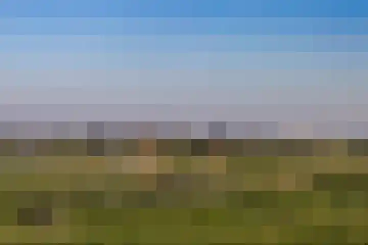 Polderweg 6 a Pijnacker thumbnail 51