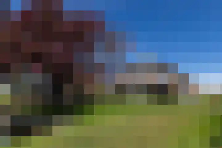 Polderweg 6 a Pijnacker thumbnail 6