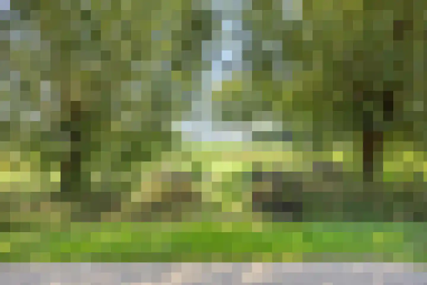 Polderweg 9 Hengstdijk thumbnail 31