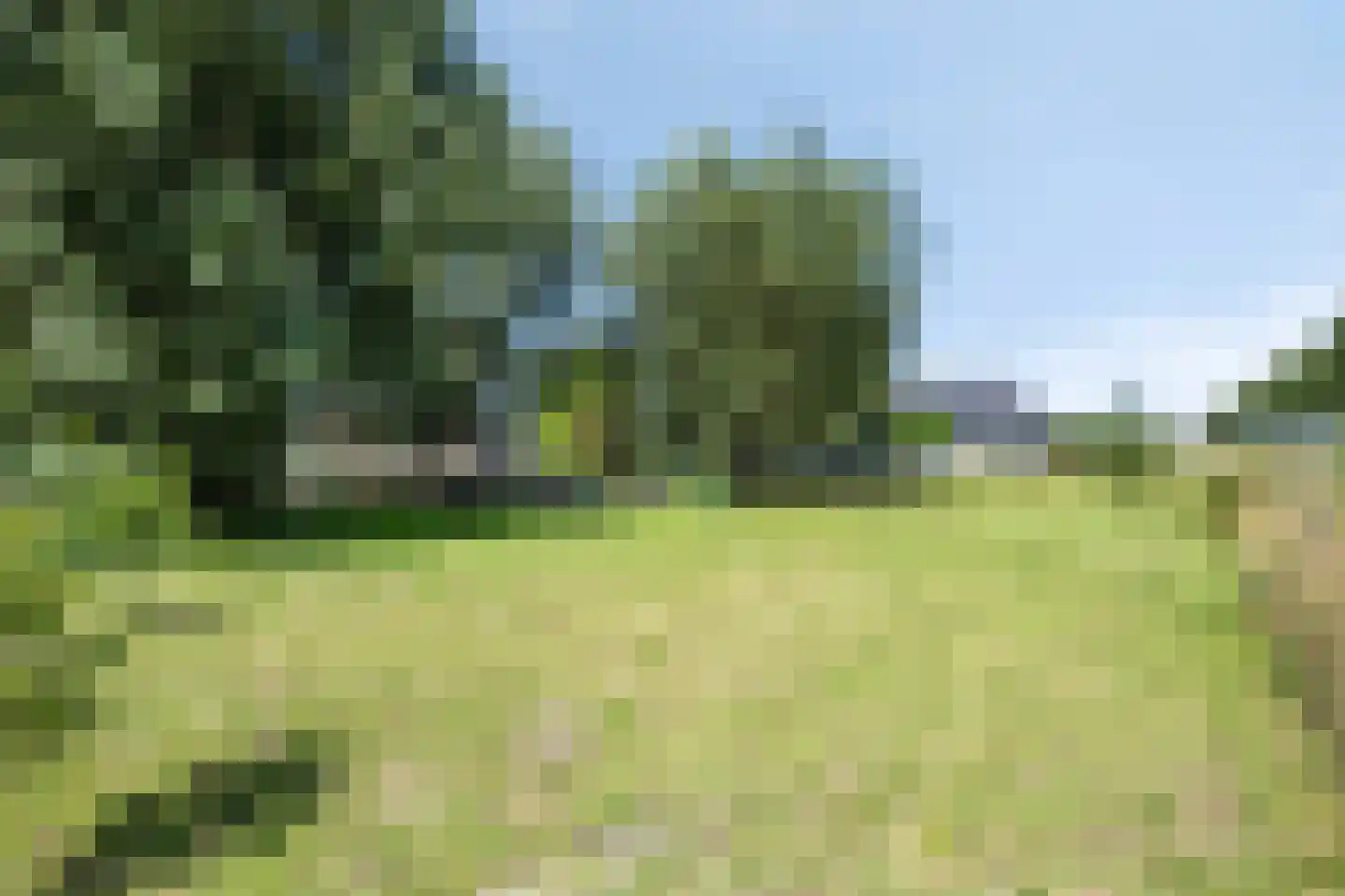 Polderweg 9 Hengstdijk thumbnail 34